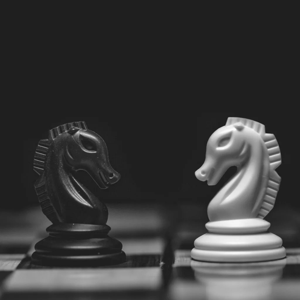 cavalos