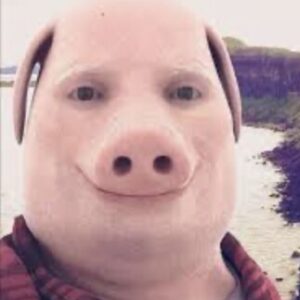  Foto de perfil de Tiago Sá 